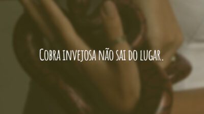 Cobra invejosa não sai do lugar.