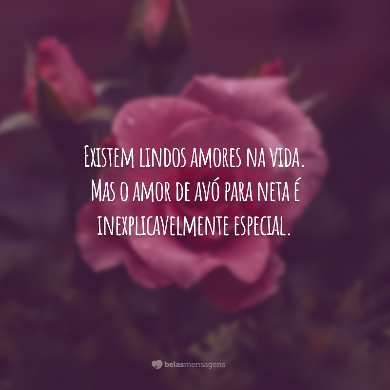 Existem lindos amores na vida. Mas o amor de avó para neta é inexplicavelmente especial.