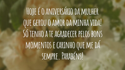 Hoje é o aniversário da mulher que gerou o amor da minha vida! Só tenho a te agradecer pelos bons momentos e carinho que me dá sempre. Parabéns!