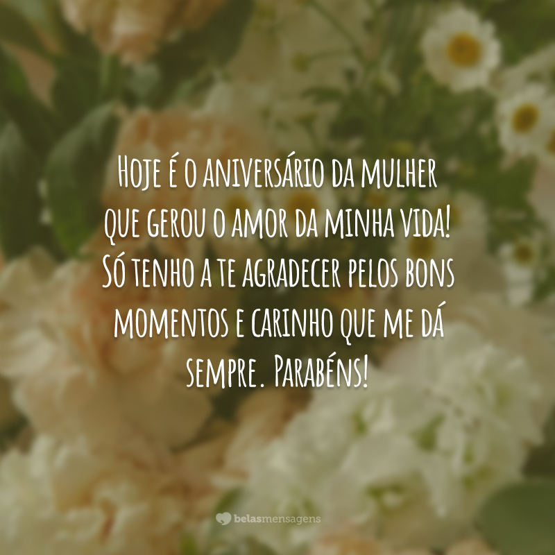 Hoje é o aniversário da mulher que gerou o amor da minha vida! Só tenho a te agradecer pelos bons momentos e carinho que me dá sempre. Parabéns!