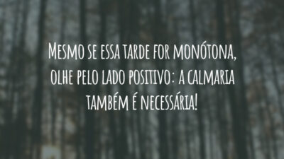 Mesmo se essa tarde for monótona, olhe pelo lado positivo: a calmaria também é necessária!