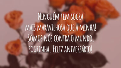 Ninguém tem sogra mais maravilhosa que a minha! Somos nós contra o mundo, sogrinha. Feliz aniversário!