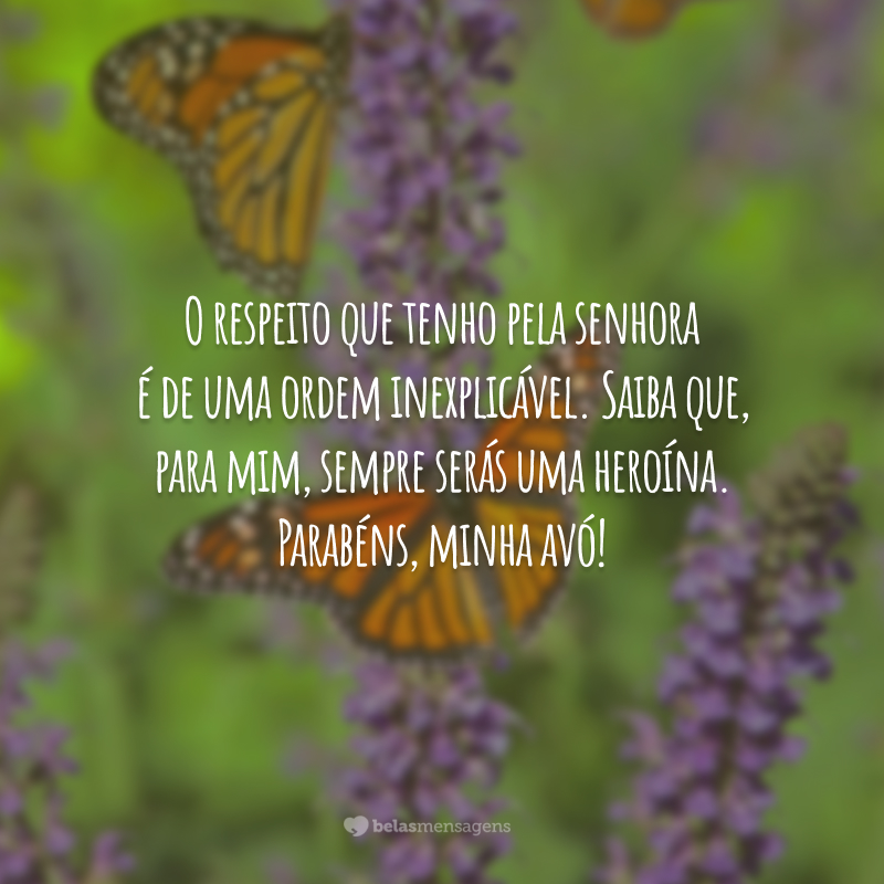 O respeito que tenho pela senhora é de uma ordem inexplicável. Saiba que, para mim, sempre serás uma heroína. Parabéns, minha avó!