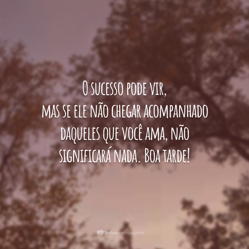 O sucesso pode vir, mas se ele não chegar acompanhado daqueles que você ama, não significará nada. Boa tarde!