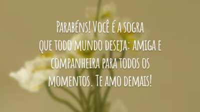 Parabéns! Você é a sogra que todo mundo deseja: amiga e companheira para todos os momentos. Te amo demais!