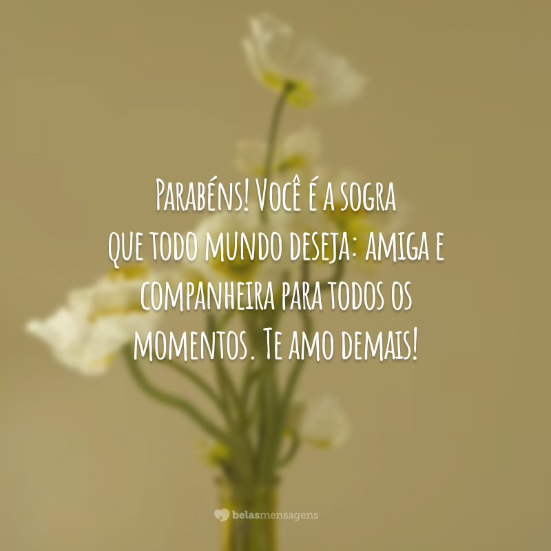 Parabéns! Você é a sogra que todo mundo deseja: amiga e companheira para todos os momentos. Te amo demais!