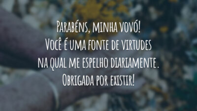 Parabéns, minha vovó! Você é uma fonte de virtudes na qual me espelho diariamente. Obrigada por existir!