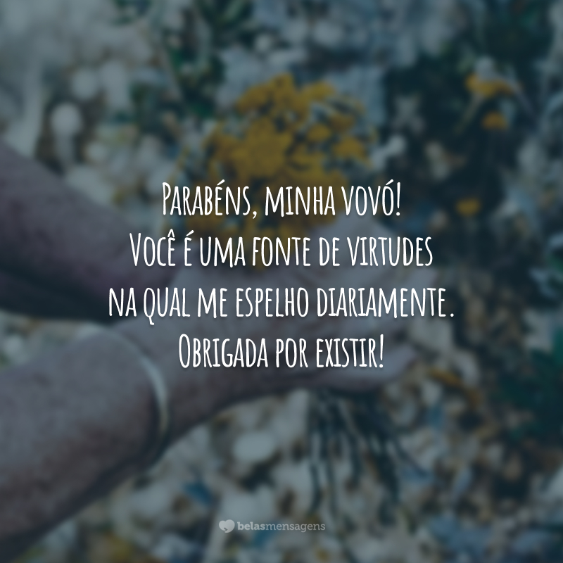 Parabéns, minha vovó! Você é uma fonte de virtudes na qual me espelho diariamente. Obrigada por existir!