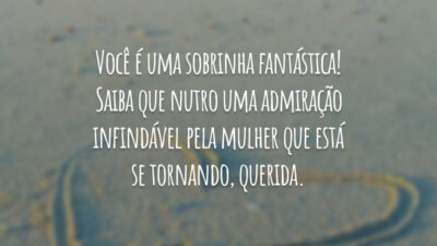 Você é uma sobrinha fantástica! Saiba que nutro uma admiração infindável pela mulher que está se tornando, querida.