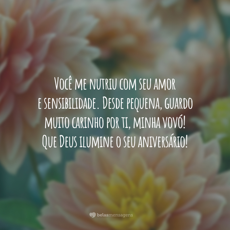 Você me nutriu com seu amor e sensibilidade. Desde pequena, guardo muito carinho por ti, minha vovó! Que Deus ilumine o seu aniversário!