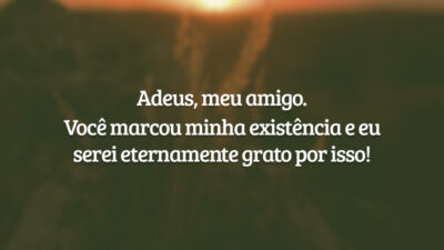 Adeus, meu amigo. Você marcou minha existência e eu serei eternamente grato por isso!