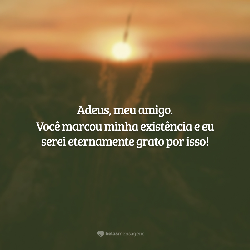 Adeus, meu amigo. Você marcou minha existência e eu serei eternamente grato por isso!