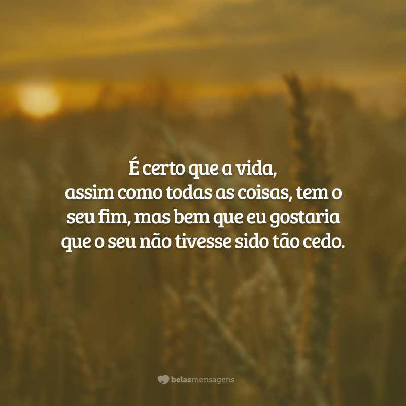 É certo que a vida, assim como todas as coisas, tem o seu fim, mas bem que eu gostaria que o seu não tivesse sido tão cedo.