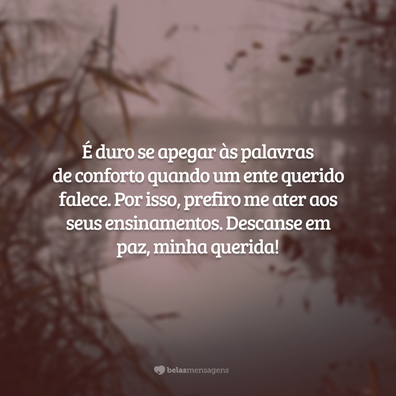 É duro se apegar às palavras de conforto quando um ente querido falece. Por isso, prefiro me ater aos seus ensinamentos. Descanse em paz, minha querida!