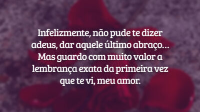 Infelizmente, não pude te dizer adeus, dar aquele último abraço… Mas guardo com muito valor a lembrança exata da primeira vez que te vi, meu amor.