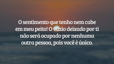O sentimento que tenho nem cabe em meu peito! O vazio deixado por ti não será ocupado por nenhuma outra pessoa, pois você é único.