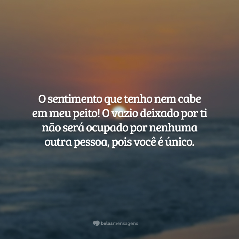 O sentimento que tenho nem cabe em meu peito! O vazio deixado por ti não será ocupado por nenhuma outra pessoa, pois você é único.