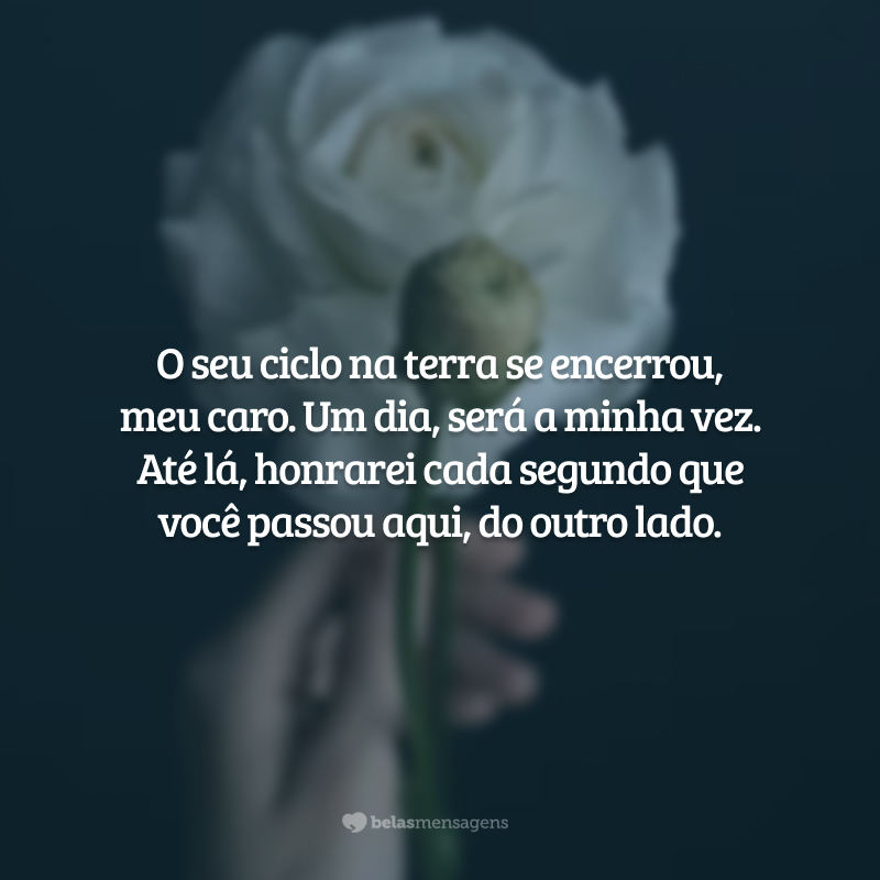 O seu ciclo na terra se encerrou, meu caro. Um dia, será a minha vez. Até lá, honrarei cada segundo que você passou aqui, do outro lado.