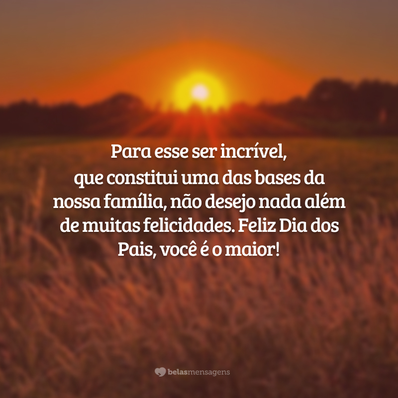 Para esse ser incrível, que constitui uma das bases da nossa família, não desejo nada além de muitas felicidades. Feliz Dia dos Pais, você é o maior!