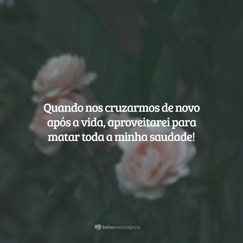 Quando nos cruzarmos de novo após a vida, aproveitarei para matar toda a minha saudade!