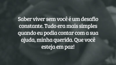 Saber viver sem você é um desafio constante. Tudo era mais simples quando eu podia contar com a sua ajuda, minha querida. Que você esteja em paz!
