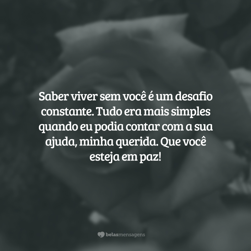 Saber viver sem você é um desafio constante. Tudo era mais simples quando eu podia contar com a sua ajuda, minha querida. Que você esteja em paz!