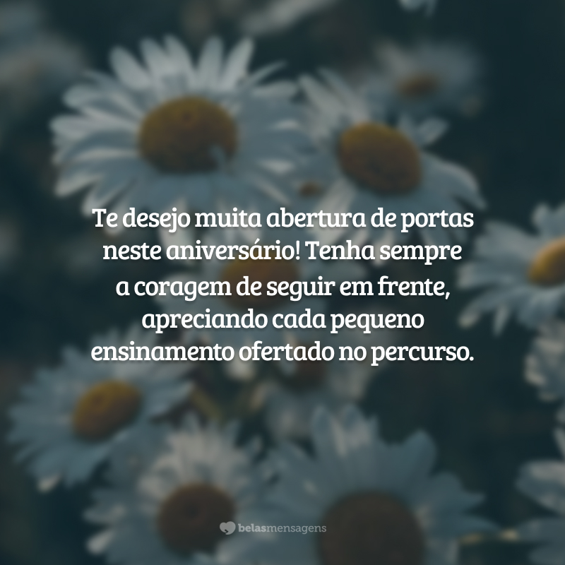 Te desejo muita abertura de portas neste aniversário! Tenha sempre a coragem de seguir em frente, apreciando cada pequeno ensinamento ofertado no percurso.