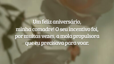 Um feliz aniversário, minha comadre! O seu incentivo foi, por muitas vezes, a mola propulsora que eu precisava para voar.