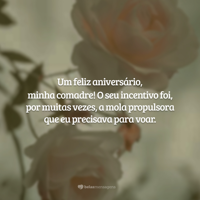 Um feliz aniversário, minha comadre! O seu incentivo foi, por muitas vezes, a mola propulsora que eu precisava para voar.