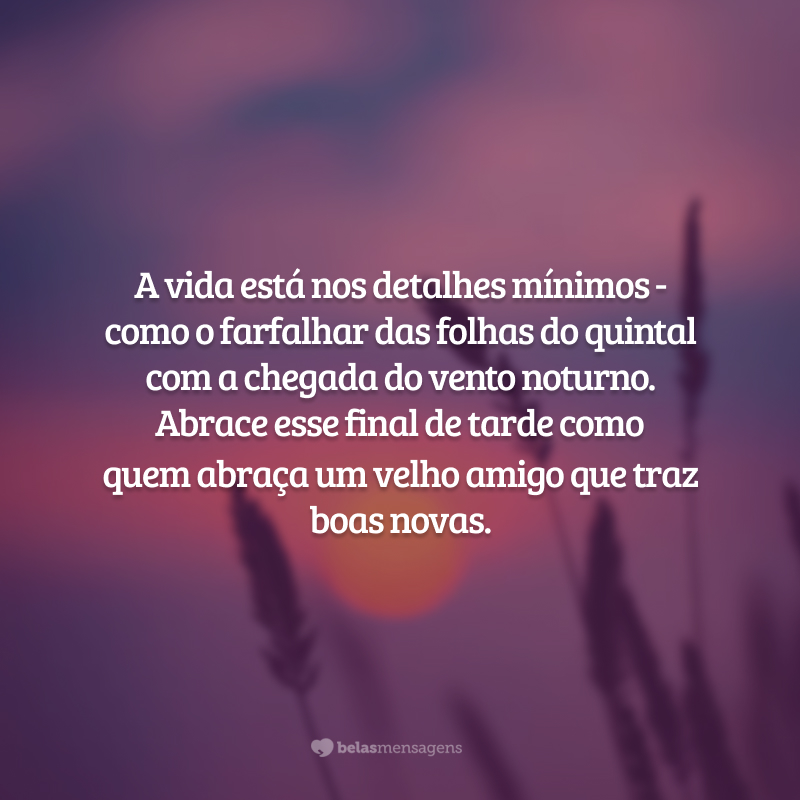 A vida está nos detalhes mínimos - como o farfalhar das folhas do quintal com a chegada do vento noturno. Abrace esse final de tarde como quem abraça um velho amigo que traz boas novas.