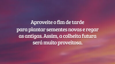 Aproveite o fim de tarde para plantar sementes novas e regar as antigas. Assim, a colheita futura será muito proveitosa.