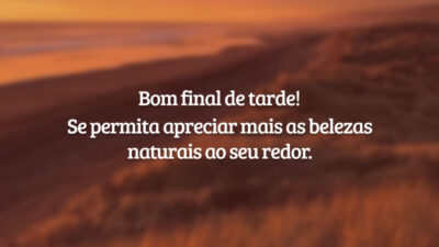 Bom final de tarde! Se permita apreciar mais as belezas naturais ao seu redor.