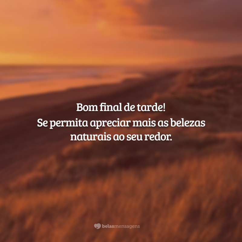 Bom final de tarde! Se permita apreciar mais as belezas naturais ao seu redor.