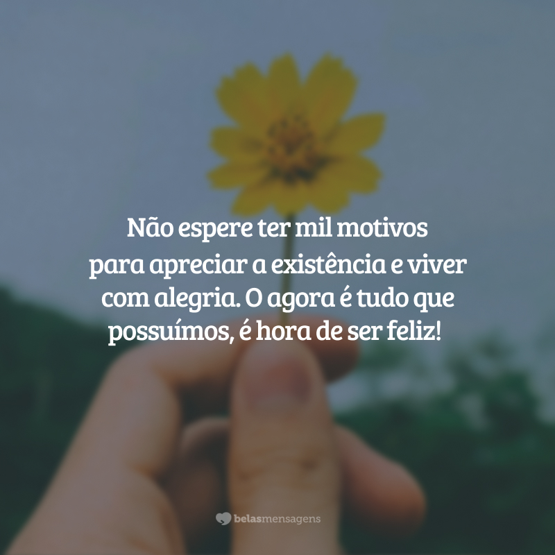 Não espere ter mil motivos para apreciar a existência e viver com alegria. O agora é tudo que possuímos, é hora de ser feliz!