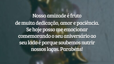 Nossa amizade é fruto de muita dedicação, amor e paciência. Se hoje posso me emocionar comemorando o seu aniversário ao seu lado é porque soubemos nutrir nossos laços. Parabéns!