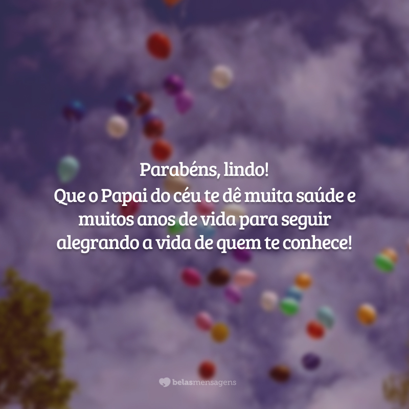 Parabéns, lindo! Que o Papai do céu te dê muita saúde e muitos anos de vida para seguir alegrando a vida de quem te conhece!