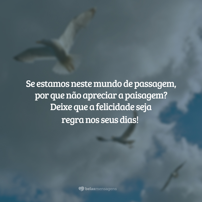 Se estamos neste mundo de passagem, por que não apreciar a paisagem? Deixe que a felicidade seja regra nos seus dias!