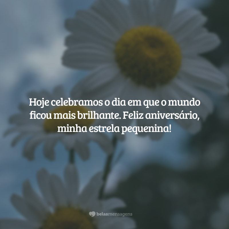 Hoje celebramos o dia em que o mundo ficou mais brilhante. Feliz aniversário, minha estrela pequenina!