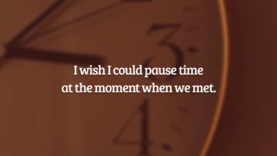 I wish I could pause time at the moment when we met. (Eu gostaria de poder pausar o tempo quando nos conhecemos.)