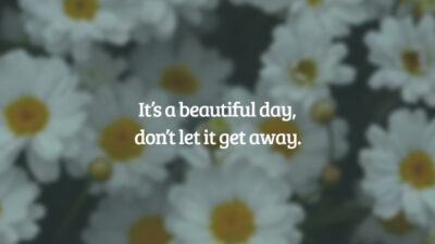 It’s a beautiful day, don’t let it get away. (É um belo dia, não o deixe escapar.)