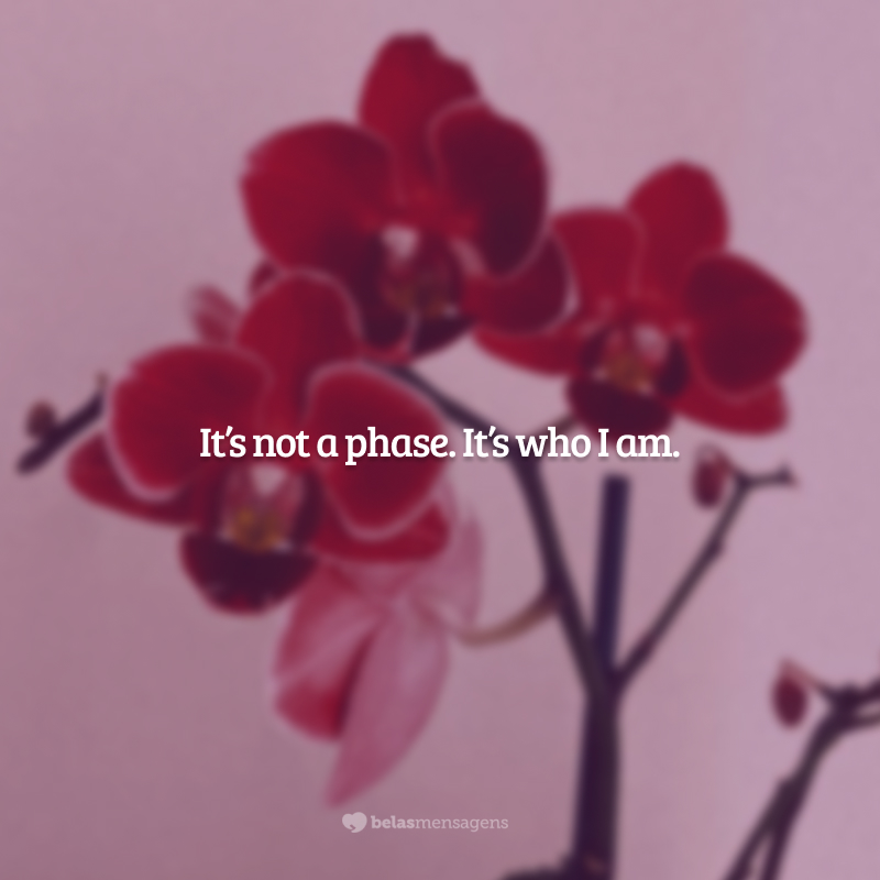 It’s not a phase. It’s who I am. (Não é uma fase. É quem eu sou.)
