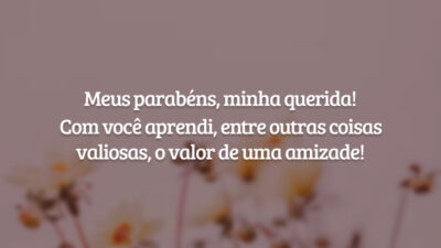 Meus parabéns, minha querida! Com você aprendi, entre outras coisas valiosas, o valor de uma amizade!