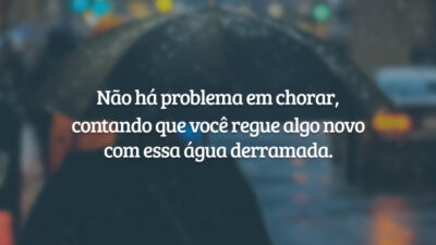 Não há problema em chorar, contando que você regue algo novo com essa água derramada.