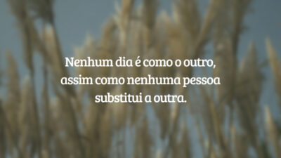 Nenhum dia é como o outro, assim como nenhuma pessoa substitui a outra.