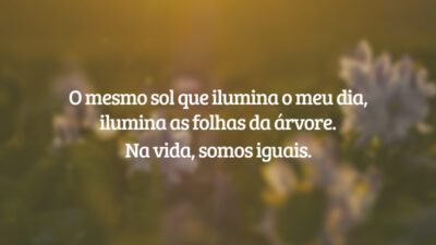 O mesmo sol que ilumina o meu dia, ilumina as folhas da árvore. Na vida, somos iguais.