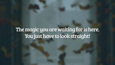 The magic you are waiting for is here. You just have to look straight! (A magia que você está esperando está aqui. Você só precisa olhar direito!)