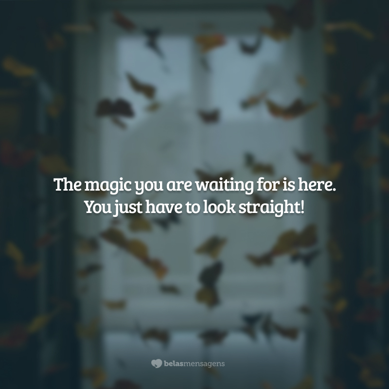The magic you are waiting for is here. You just have to look straight! (A magia que você está esperando está aqui. Você só precisa olhar direito!)