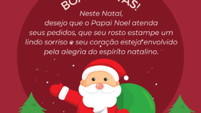 Ah, a alegria própria do Natal…