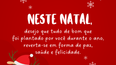 Neste Natal, que você colha a paz…