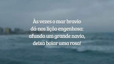Às vezes o mar bravio
dá-nos lição engenhosa:
afunda um grande navio,
deixa boiar uma rosa!